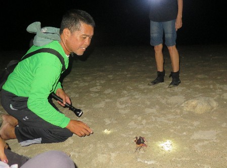 Local visitor kneeling on the sand and pointing out a huge land crab