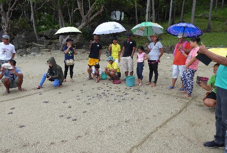 A group of passers-by observing the release of sea turtle babies