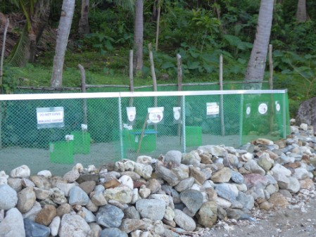 The mesh fence of hatchery site facing the sea with information sheets attached