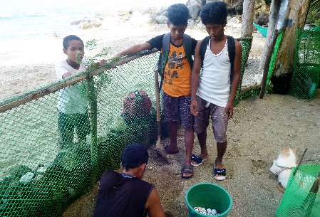 Three students gathered around a sea turtle nest and observing the egg transfer