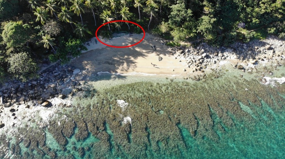 An aerial view of the beach where the hatchery site is located