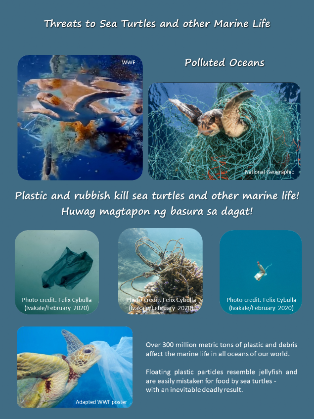 Examples for plastic pollution in the oceans and how it is affecting marine life